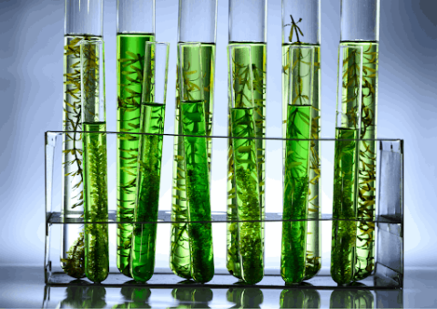 Connect-CMC™-A-Game-Changer-for-Small-Pharma-and-Biotech-Companies