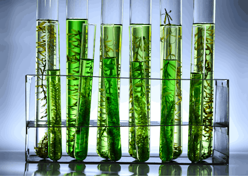 Connect-CMC™-A-Game-Changer-for-Small-Pharma-and-Biotech-Companies